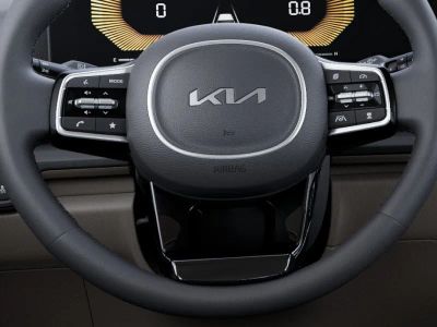 2026 Kia Carnival Hybrid — photo 16 view