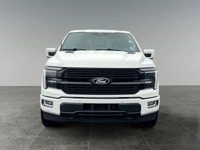2025 Ford F-150 — side profile view