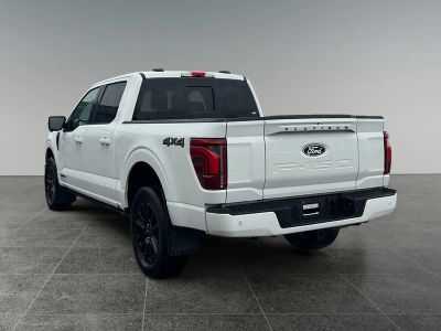 2025 Ford F-150 — detail view