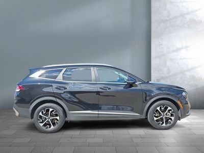 2023 Kia Sportage Hybrid — photo 7 view