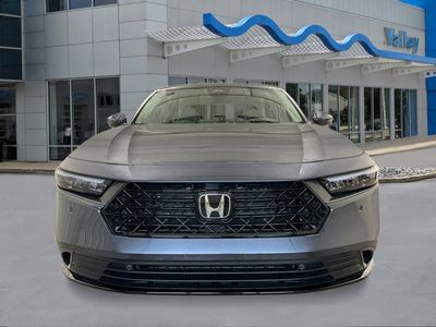 2026 Honda Accord Hybrid — photo 8 view