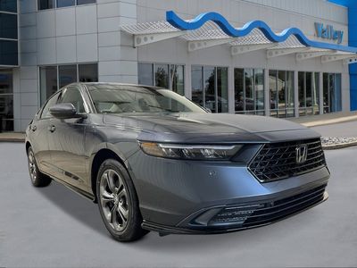 2026 Honda Accord Hybrid — photo 7 view