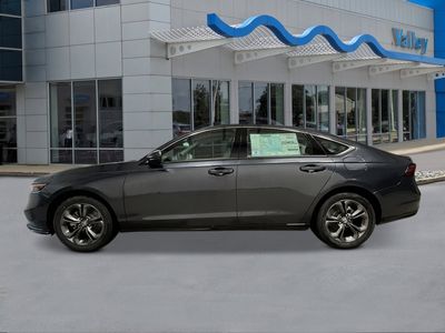 2026 Honda Accord Hybrid — side profile view