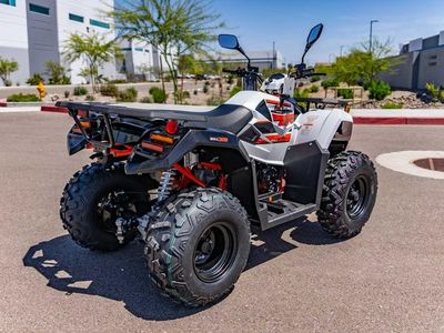 2025 Kayo Bull 300 EFI - Photo 4