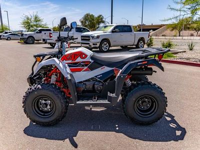 2025 Kayo Bull 300 EFI - Photo 6