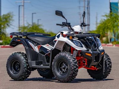 2025 Kayo Bull 300 EFI - Photo 1