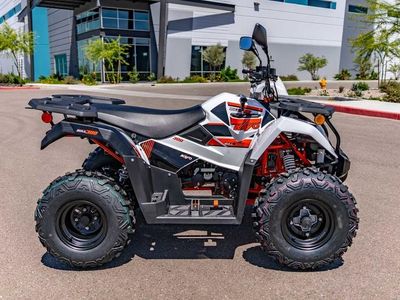 2025 Kayo Bull 300 EFI - Photo 3