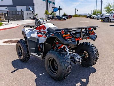 2025 Kayo Bull 300 EFI - Photo 5