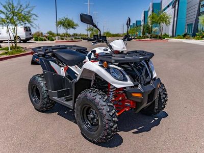 2025 Kayo Bull 300 EFI - Photo 2