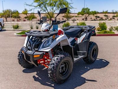 2025 Kayo Bull 300 EFI - Photo 7