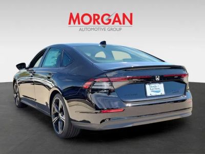 2026 Honda Accord Hybrid — detail view
