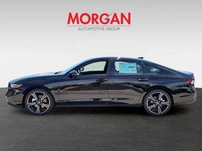 2026 Honda Accord Hybrid — interior view