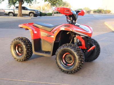 2026 Denago Powersports E-Hawk 6 - Photo 1
