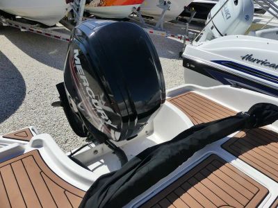2017 Bayliner Element F18 — detail view