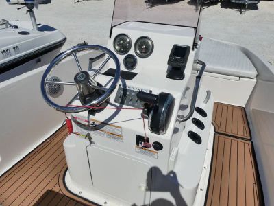2017 Bayliner Element F18 — photo 7 view
