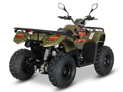 2025 Kayo Bull 300 EFI - Photo 12