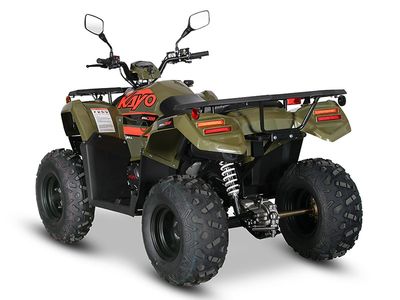 2025 Kayo Bull 300 EFI - Photo 13