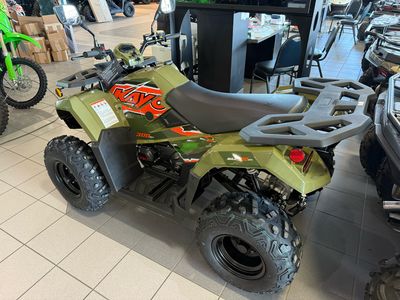 2025 Kayo Bull 300 EFI - Photo 3