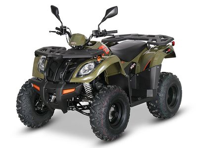 2025 Kayo Bull 300 EFI - Photo 10