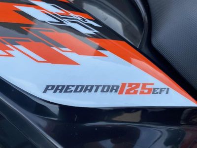 2026 Kayo PREDATOR 125 EFI - Photo 10