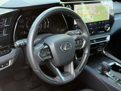 2024 Lexus RX - Photo 17