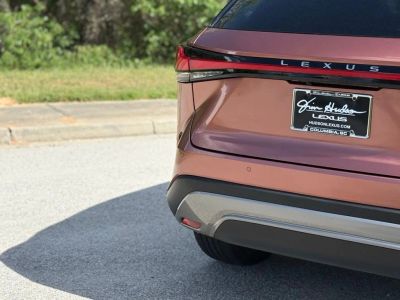 2024 Lexus RX - Photo 12