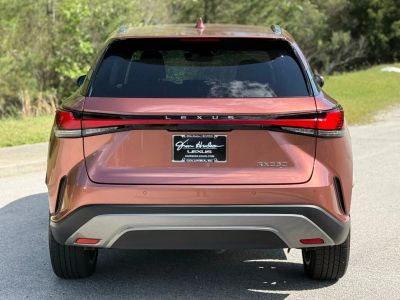 2024 Lexus RX - Photo 10