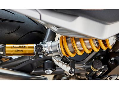 2023 Indian Motorcycle FTR R Carbon - Photo 13