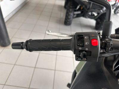 2023 Kawasaki Versys-X 300 - Photo 6