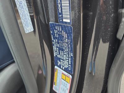 2026 Kia Carnival Hybrid — photo 37 view
