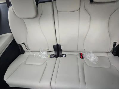 2026 Kia Carnival Hybrid — photo 19 view