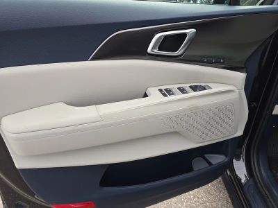 2026 Kia Carnival Hybrid — photo 20 view