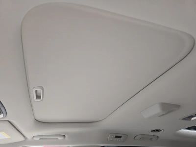 2026 Kia Carnival Hybrid — photo 25 view