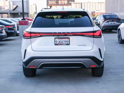 2024 Lexus RX — detail view