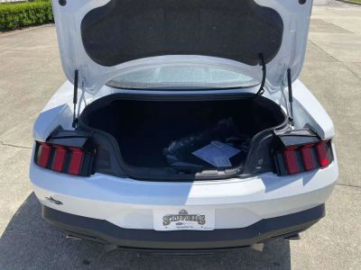 2026 Ford Mustang - Photo 10