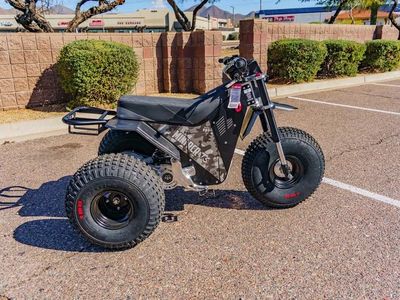 2026 MINI RCR T3 - Photo 3