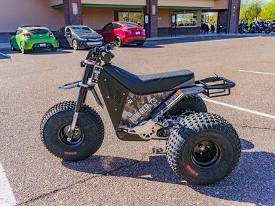 2026 MINI RCR T3 - Photo 6