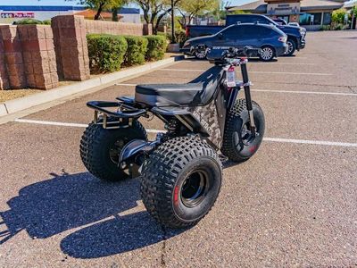 2026 MINI RCR T3 - Photo 4
