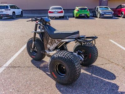 2026 MINI RCR T3 - Photo 5