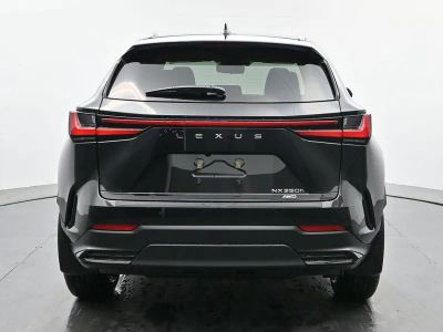 2026 Lexus NX HYBRID - Photo 4