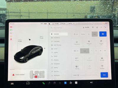 2019 Tesla Model 3 — photo 22 view