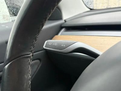 2019 Tesla Model 3 — photo 25 view