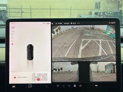 2019 Tesla Model 3 — photo 21 view