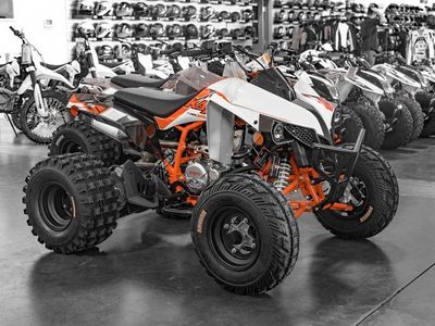 2026 Kayo Storm 300 EFI - Photo 1