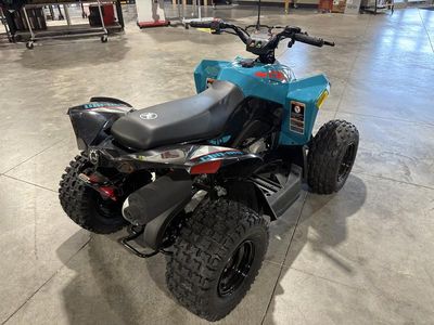 2026 Can-Am Renegade 70 EFI - Photo 5
