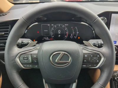 2025 Lexus NX — photo 31 view
