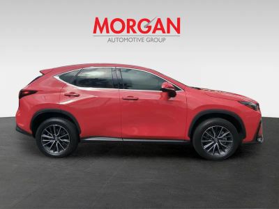 2025 Lexus NX — interior view