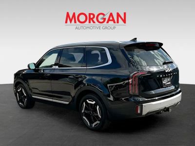 2024 Kia Telluride — detail view