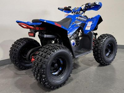 2026 Denago Powersports Trailhawk 10 FI - Photo 3