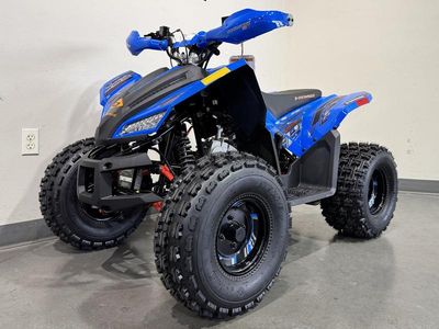 2026 Denago Powersports Trailhawk 10 FI - Photo 4